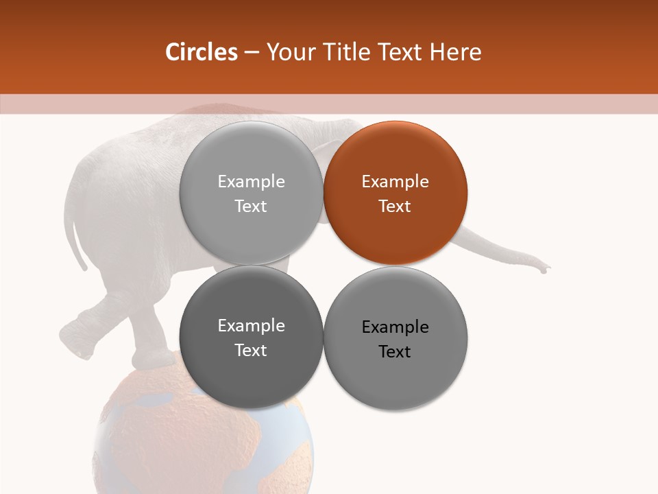Trunk Adorable Festival PowerPoint Template