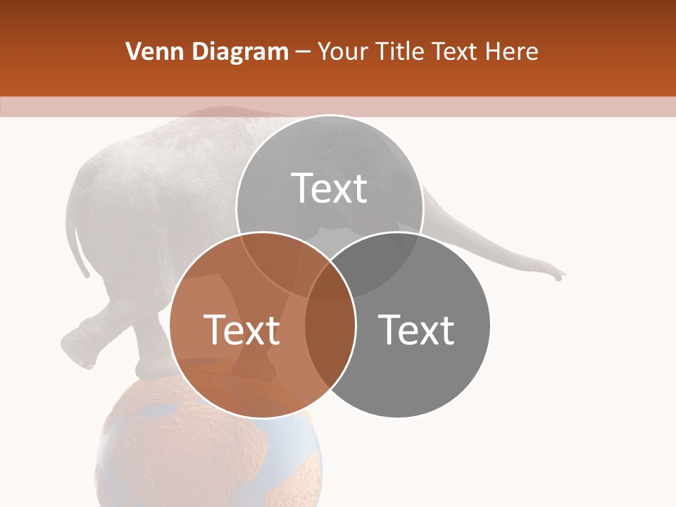 Trunk Adorable Festival PowerPoint Template