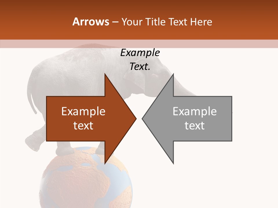 Trunk Adorable Festival PowerPoint Template