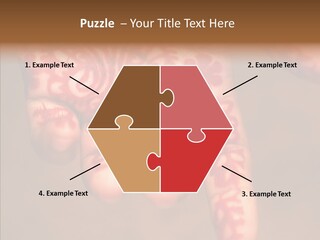 Design Henna Chennai PowerPoint Template