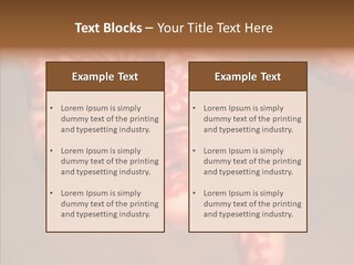 Design Henna Chennai PowerPoint Template