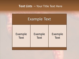 Design Henna Chennai PowerPoint Template
