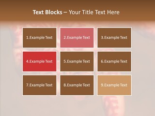 Design Henna Chennai PowerPoint Template