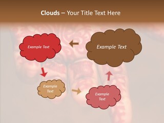 Design Henna Chennai PowerPoint Template