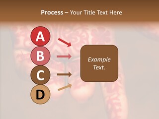 Design Henna Chennai PowerPoint Template