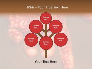Design Henna Chennai PowerPoint Template