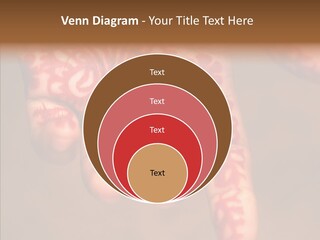 Design Henna Chennai PowerPoint Template