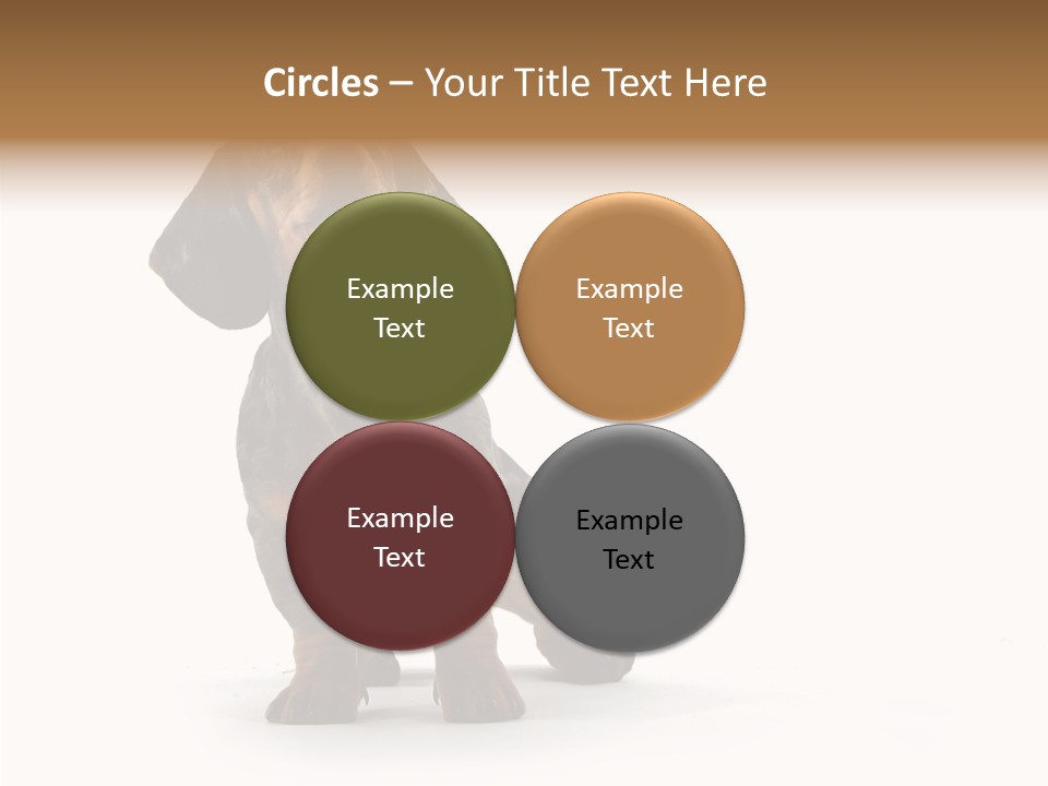 Laying Hound Brown PowerPoint Template
