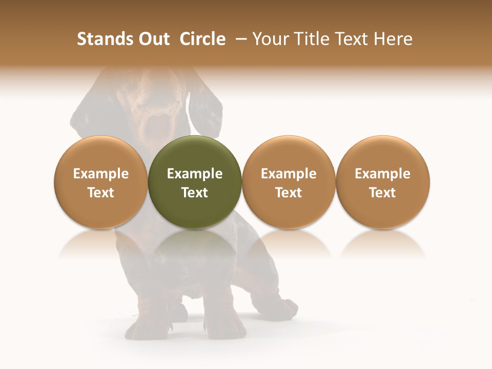 Laying Hound Brown PowerPoint Template