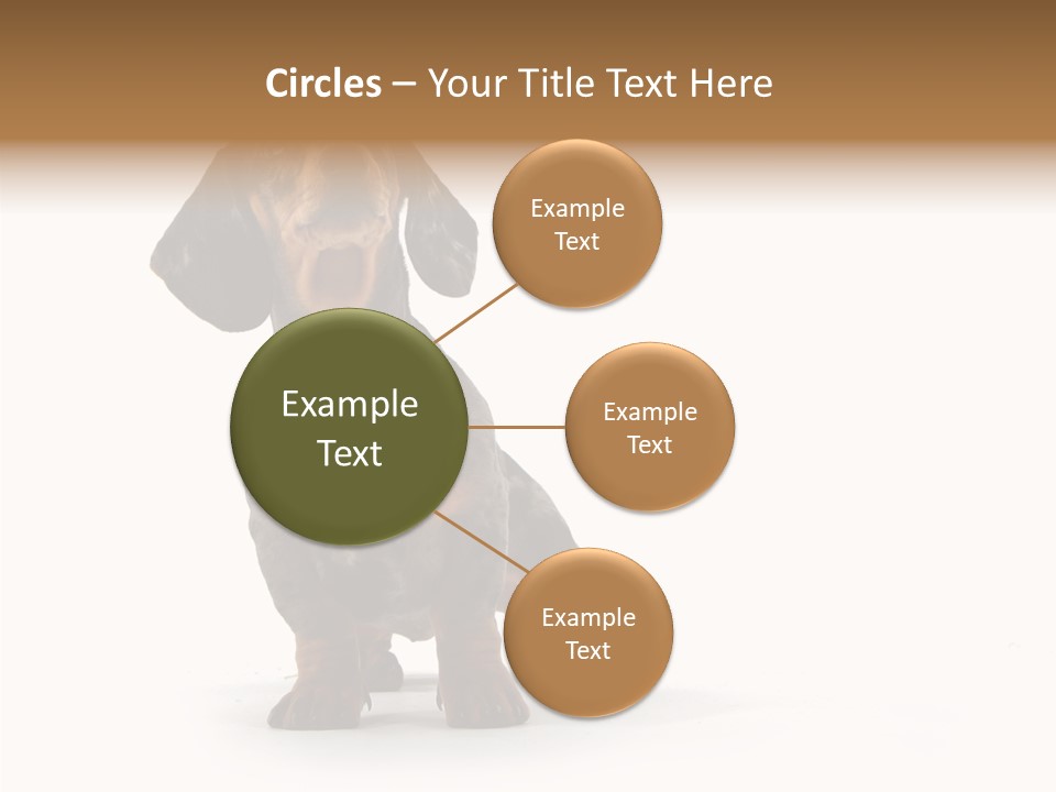 Laying Hound Brown PowerPoint Template