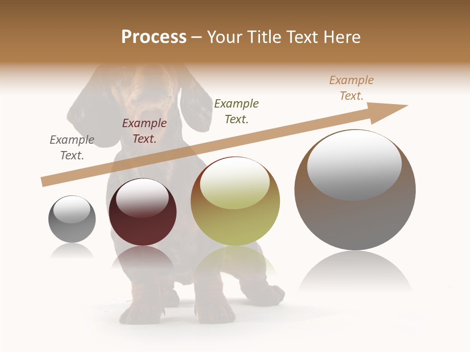 Laying Hound Brown PowerPoint Template