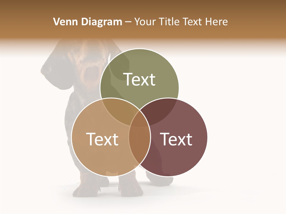 Laying Hound Brown PowerPoint Template