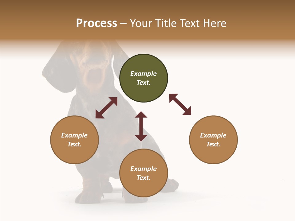 Laying Hound Brown PowerPoint Template