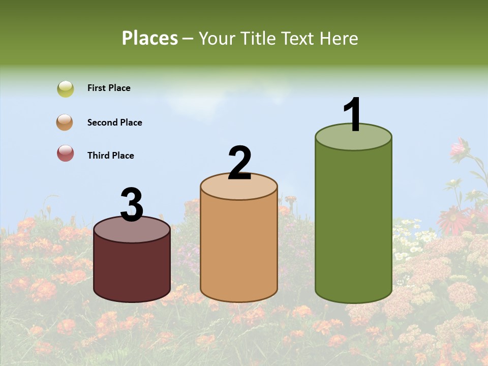 Daisy Blue Garden PowerPoint Template