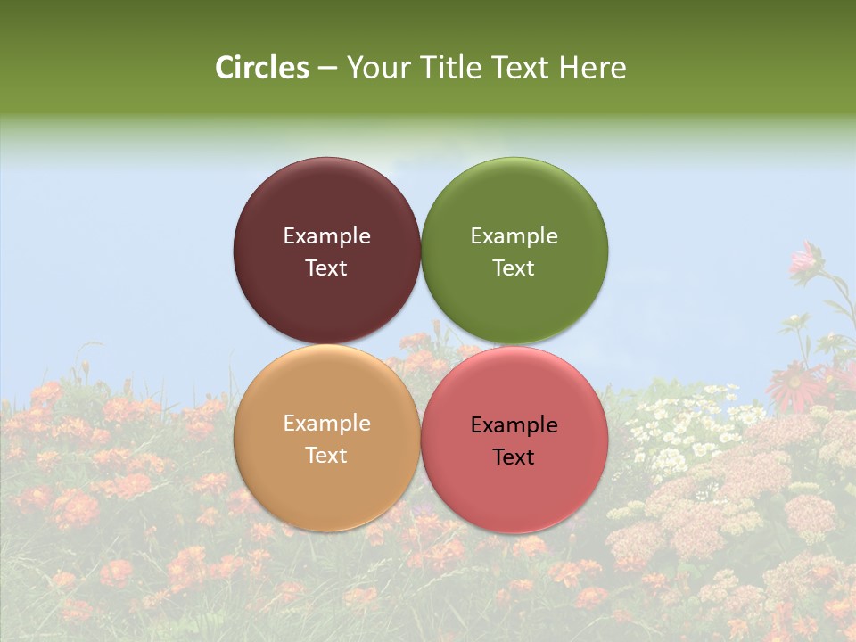 Daisy Blue Garden PowerPoint Template