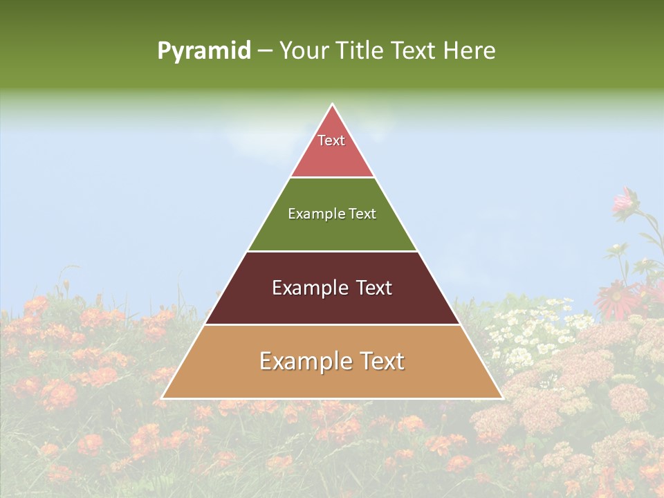 Daisy Blue Garden PowerPoint Template