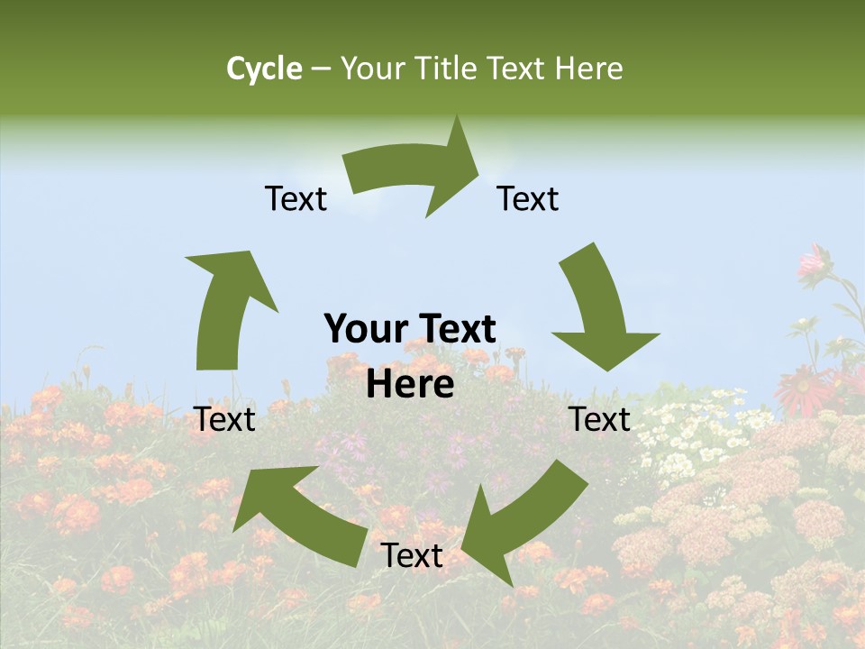 Daisy Blue Garden PowerPoint Template