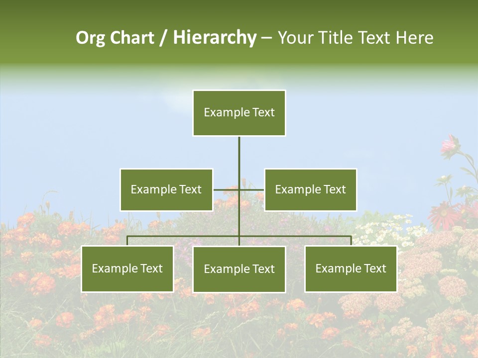 Daisy Blue Garden PowerPoint Template