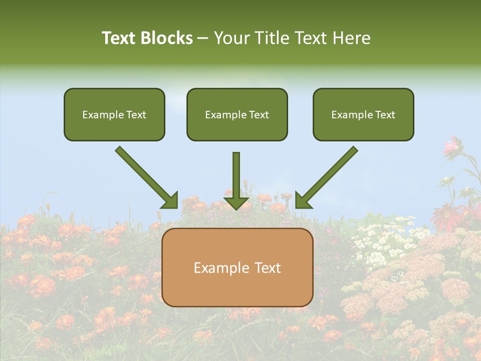 Daisy Blue Garden PowerPoint Template