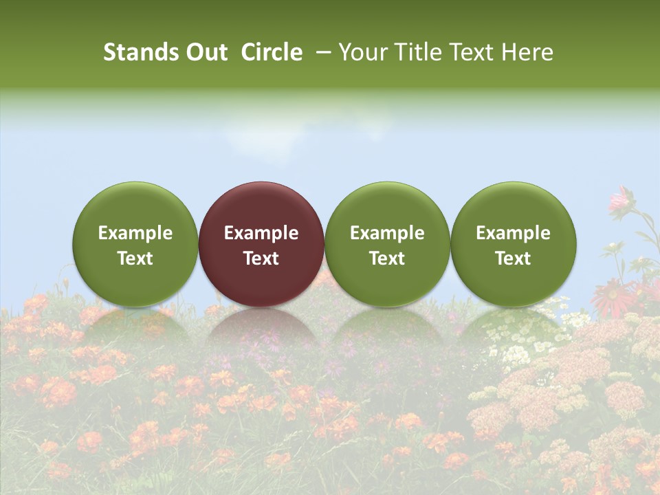 Daisy Blue Garden PowerPoint Template