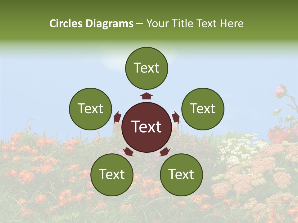 Daisy Blue Garden PowerPoint Template