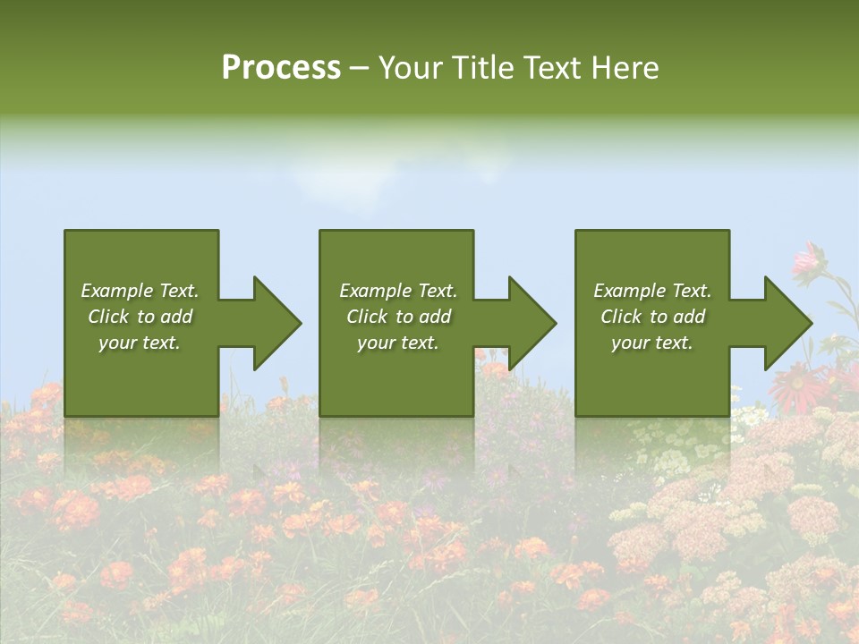 Daisy Blue Garden PowerPoint Template