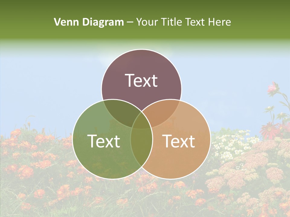 Daisy Blue Garden PowerPoint Template