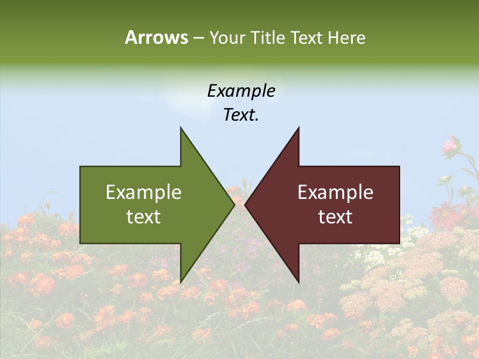 Daisy Blue Garden PowerPoint Template