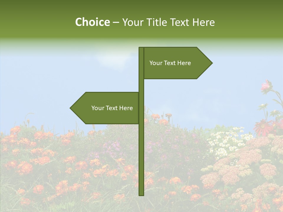 Daisy Blue Garden PowerPoint Template