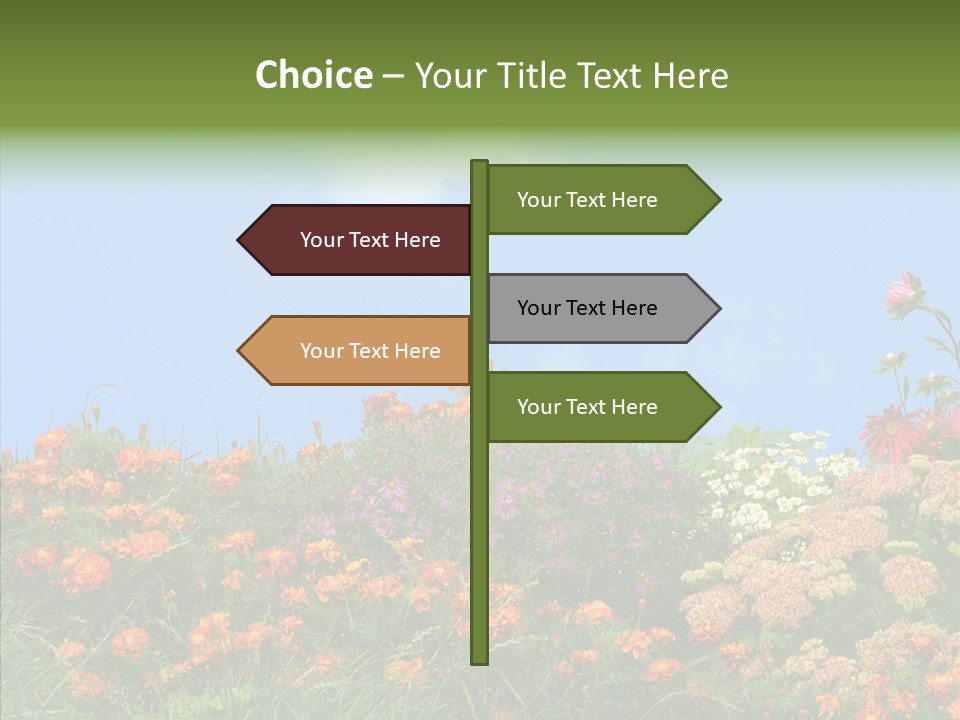 Daisy Blue Garden PowerPoint Template