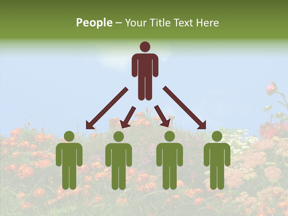 Daisy Blue Garden PowerPoint Template