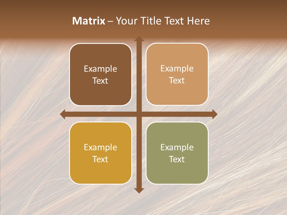 Brilliance Beauty Brown PowerPoint Template