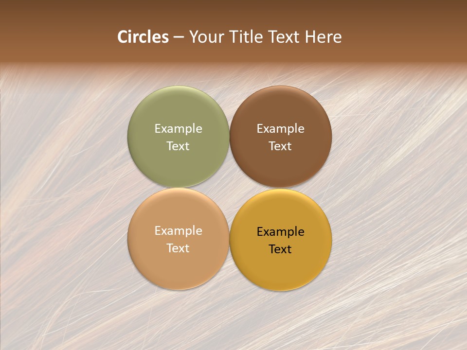 Brilliance Beauty Brown PowerPoint Template