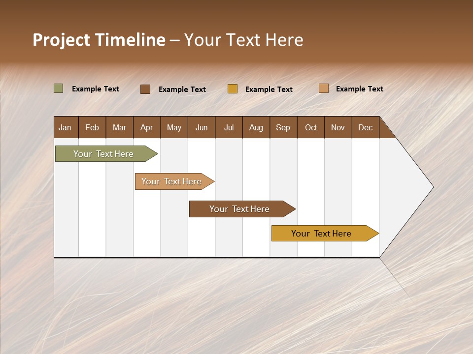 Brilliance Beauty Brown PowerPoint Template