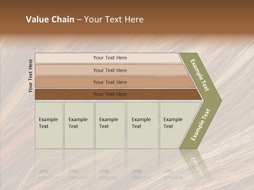 Brilliance Beauty Brown PowerPoint Template