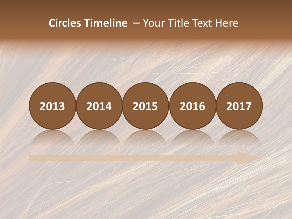 Brilliance Beauty Brown PowerPoint Template