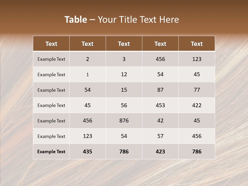 Brilliance Beauty Brown PowerPoint Template
