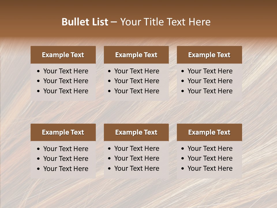 Brilliance Beauty Brown PowerPoint Template