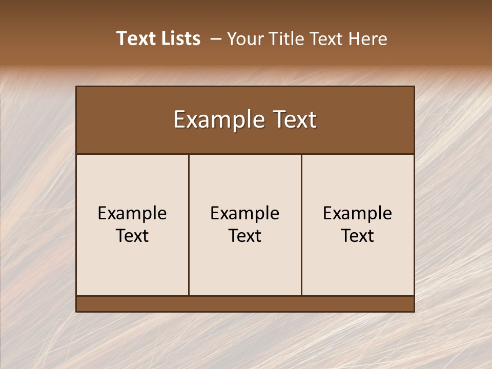 Brilliance Beauty Brown PowerPoint Template