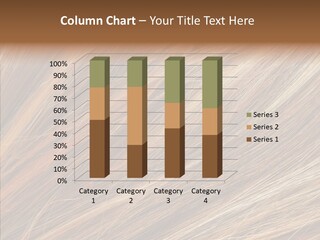 Brilliance Beauty Brown PowerPoint Template