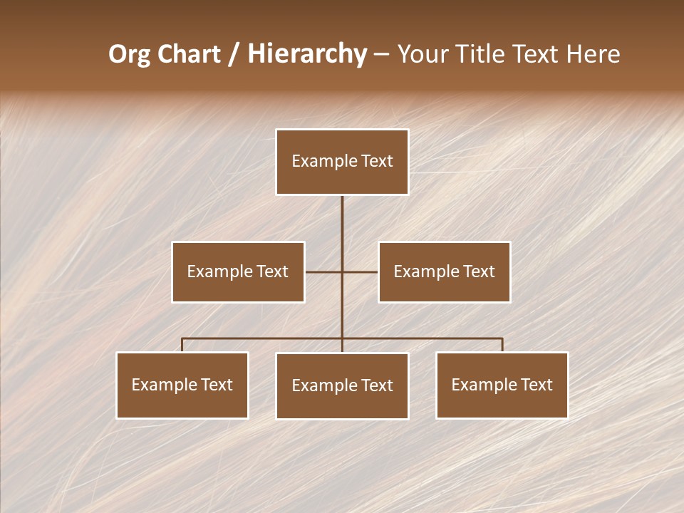 Brilliance Beauty Brown PowerPoint Template