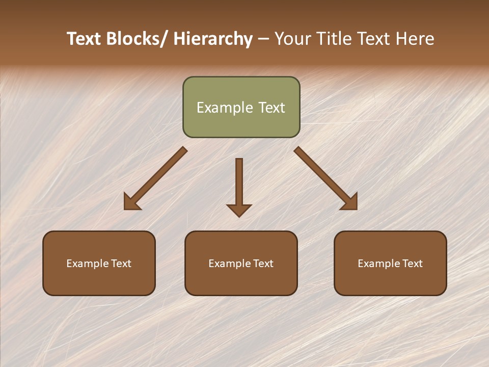 Brilliance Beauty Brown PowerPoint Template