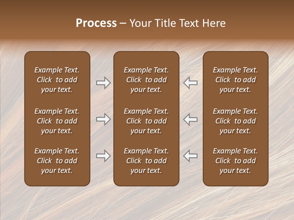Brilliance Beauty Brown PowerPoint Template