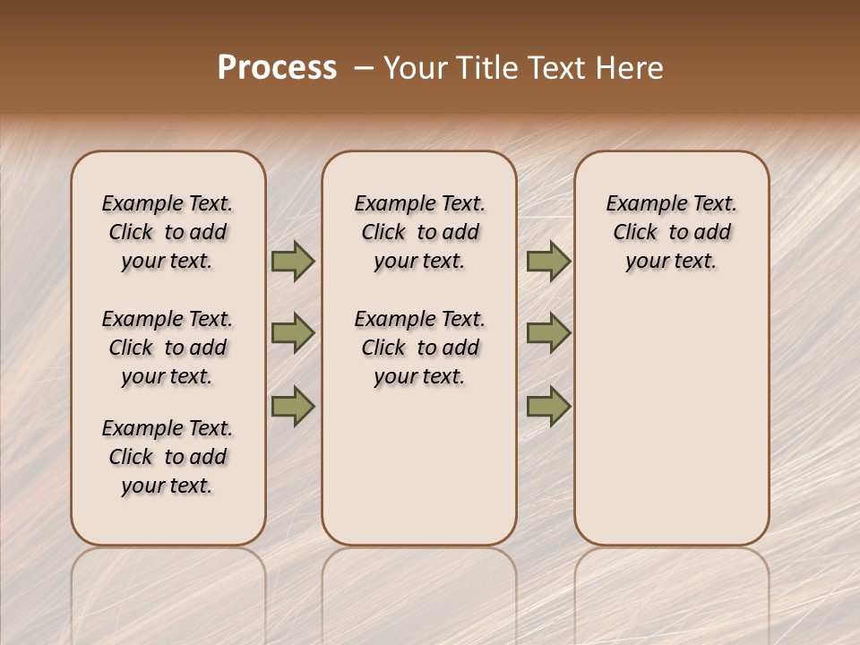 Brilliance Beauty Brown PowerPoint Template