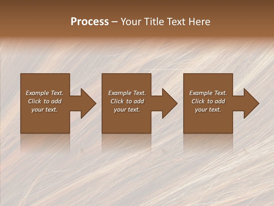Brilliance Beauty Brown PowerPoint Template