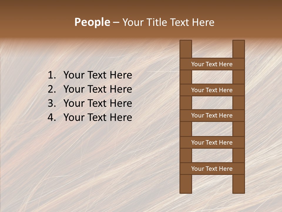 Brilliance Beauty Brown PowerPoint Template