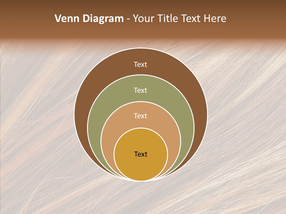 Brilliance Beauty Brown PowerPoint Template