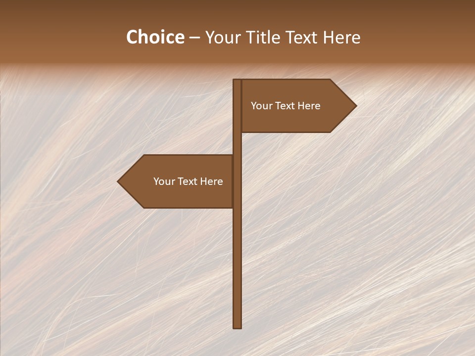Brilliance Beauty Brown PowerPoint Template