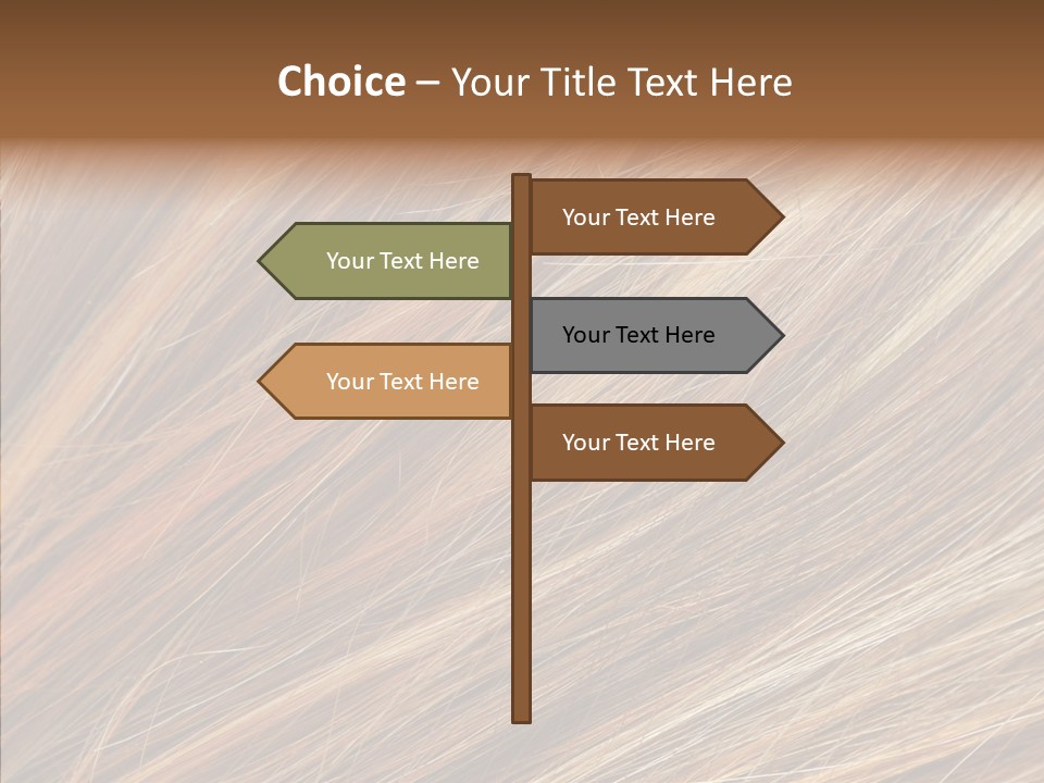 Brilliance Beauty Brown PowerPoint Template