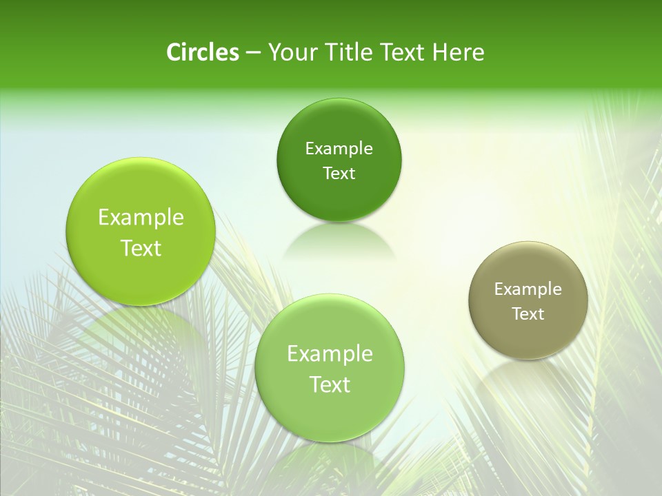 Company Li Ten Management PowerPoint Template